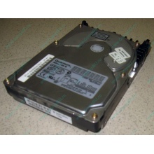 Жесткий диск 18.4Gb Quantum Atlas 10K III U160 SCSI (Крым)