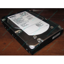 Жесткий диск 300Gb 15k Dell 9CH066-050 6G SAS (Seagate Cheetach ST3300656SS 15K.6) - Крым