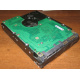 Жесткий диск 300Gb 15k Seagate Cheetach ST3300656SS 15K.6 Dell 9CH066-050 6G SAS (Крым)
